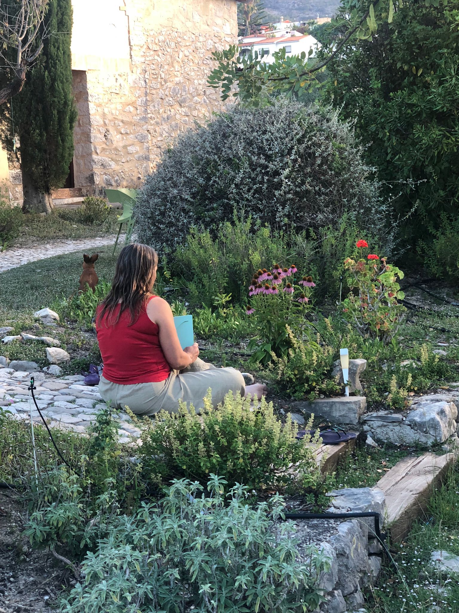 observando la equinacea